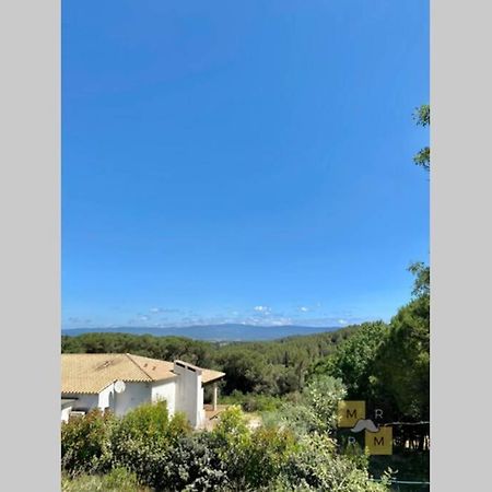Le Soleil Du Lac Parking Privatif 100 M Du Lac Villa Carcasona Exterior foto